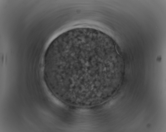 X0000094921522200712131503