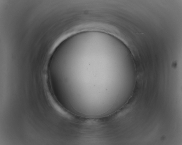 X0000094921523200712131503