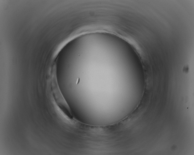 X0000094921524200712131503