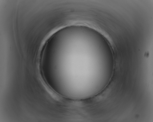 X0000094921525200712131503