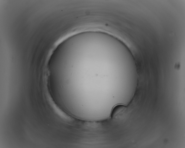 X0000094921526200712131503