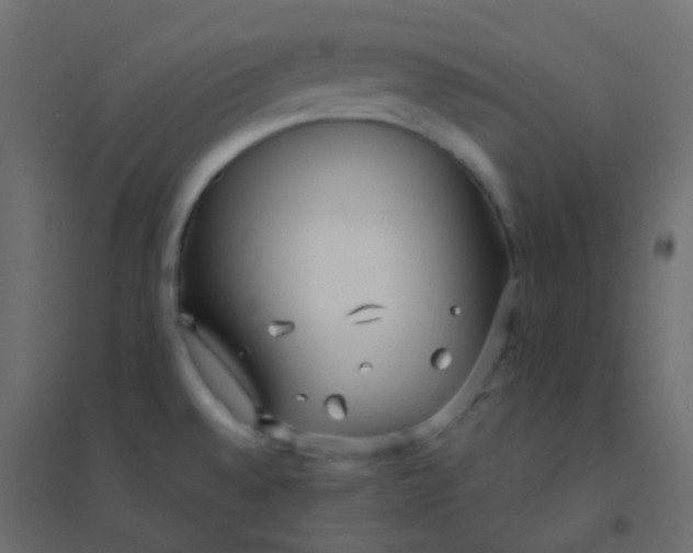 X0000094921528200712131503