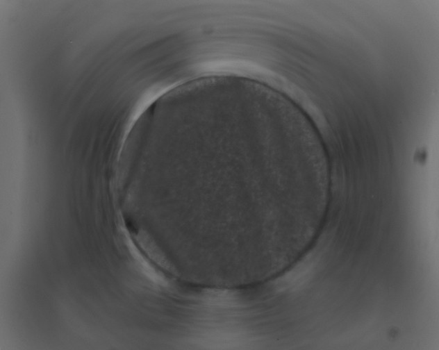 X0000094921529200712131503