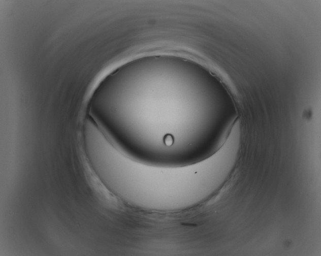 X0000094921530200712131503