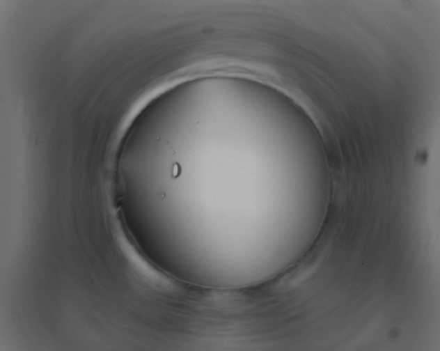 X0000094921531200712131503