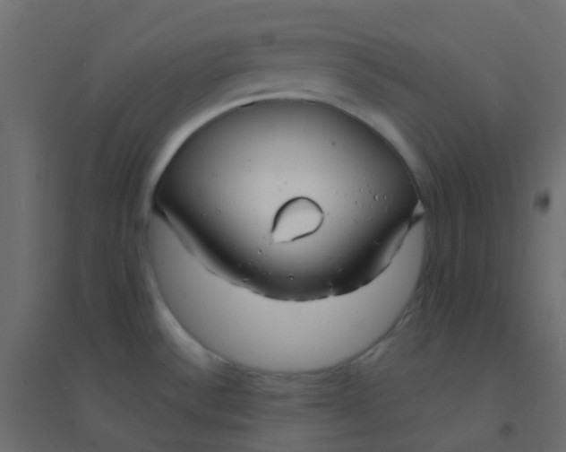 X0000094921532200712131503