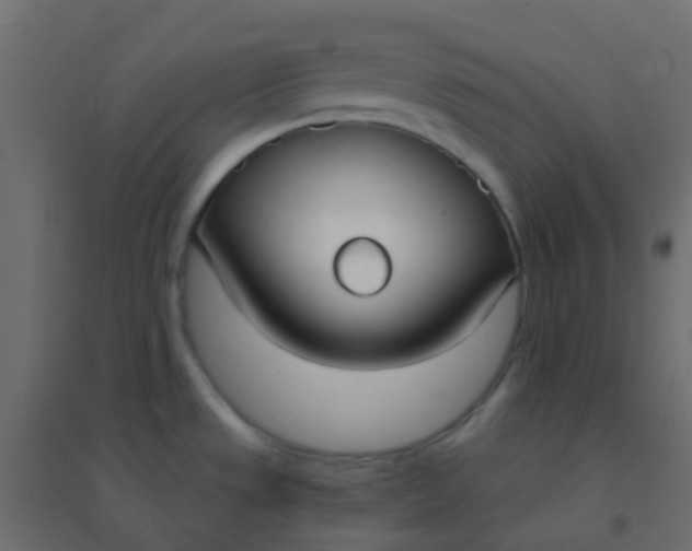 X0000094921533200712131503