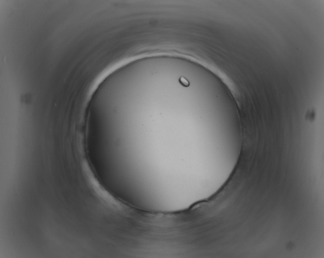 X0000094921534200712131503