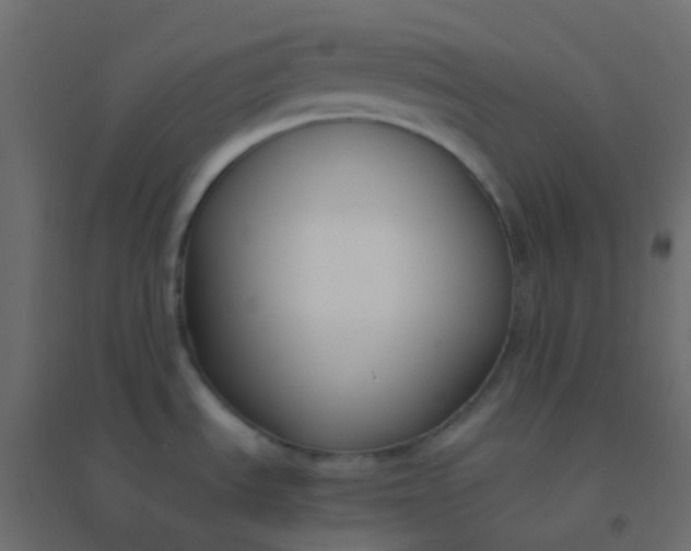 X0000094921535200712131503