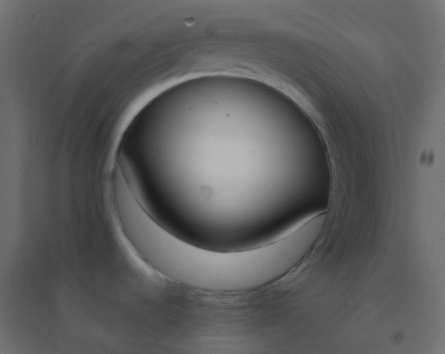 X0000094921536200712131503