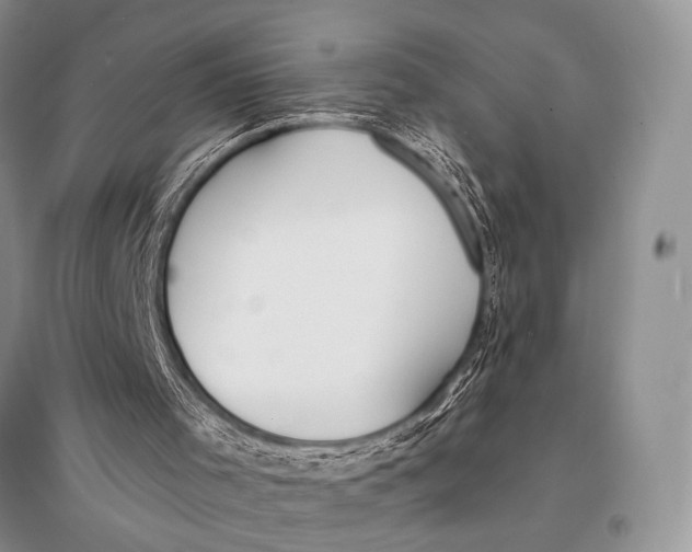 X0000094920001200712201230