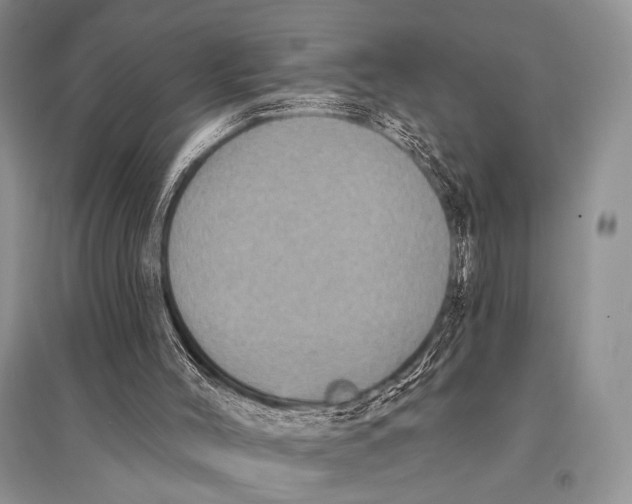 X0000094920004200712201230