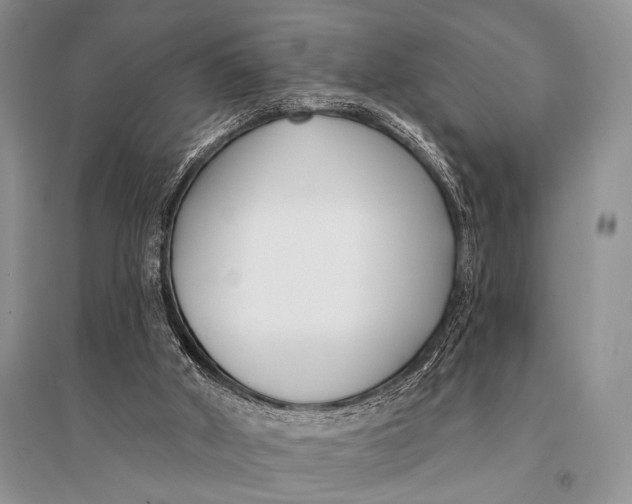 X0000094920010200712201230