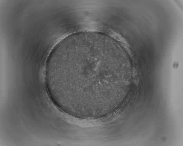 X0000094920012200712201230