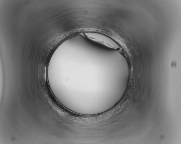 X0000094920013200712201230
