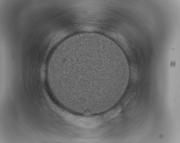 X0000094920016200712201230