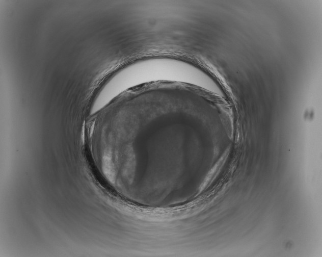 X0000094920019200712201230