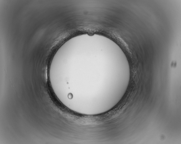X0000094920020200712201230