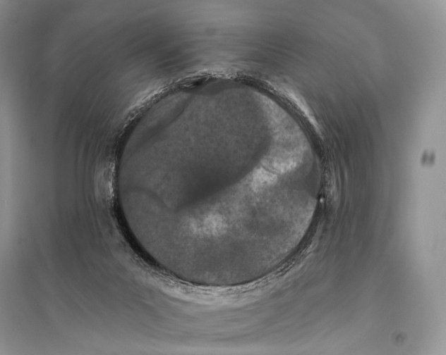 X0000094920023200712201230