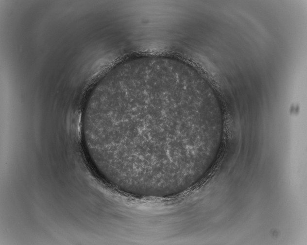 X0000094920024200712201230