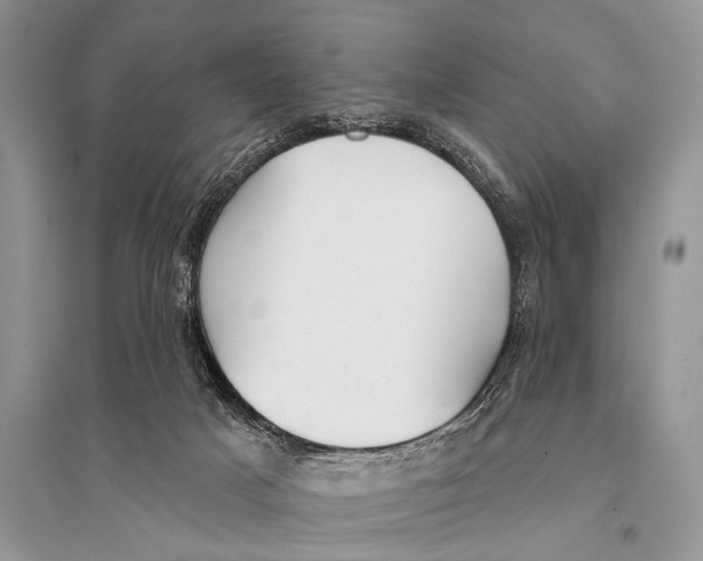 X0000094920025200712201230