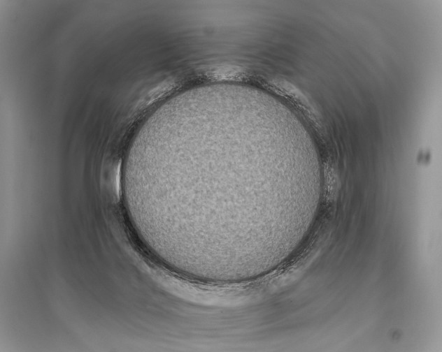 X0000094920028200712201230