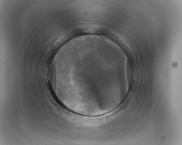 X0000094920031200712201230