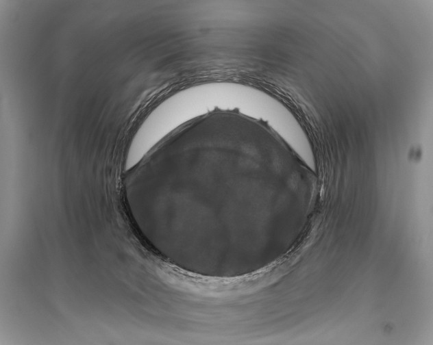 X0000094920035200712201230