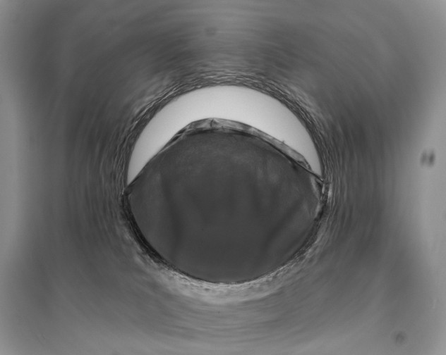X0000094920039200712201230