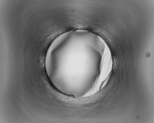 X0000094920043200712201229