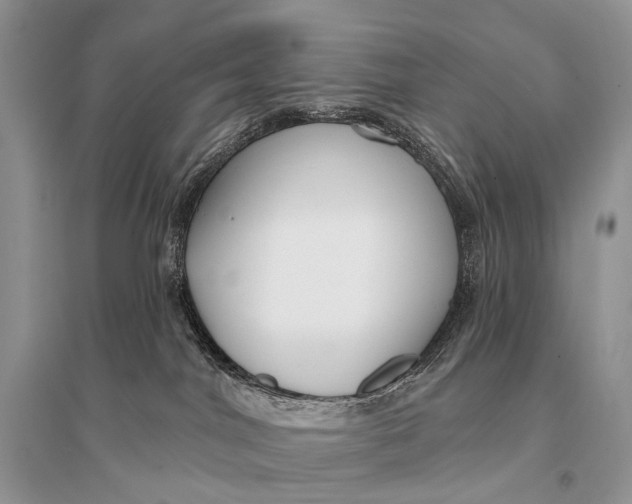 X0000094920044200712201229
