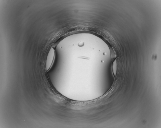 X0000094920045200712201229