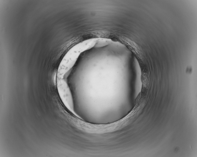X0000094920047200712201229