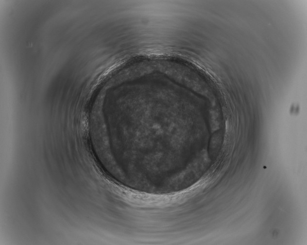 X0000094920048200712201229