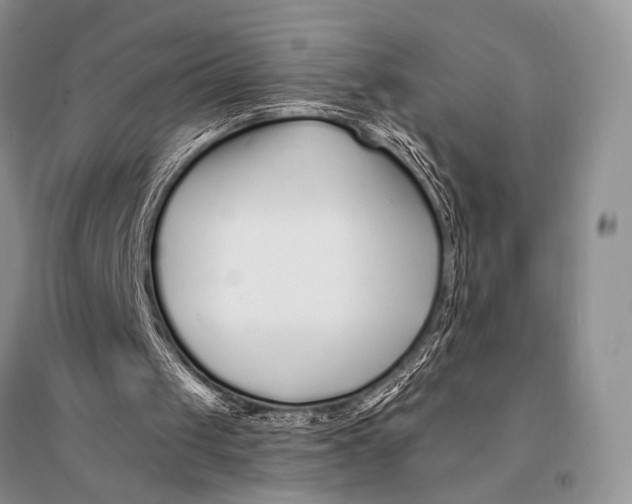 X0000094920049200712201229