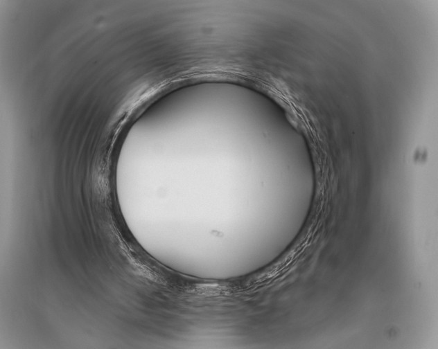 X0000094920050200712201229