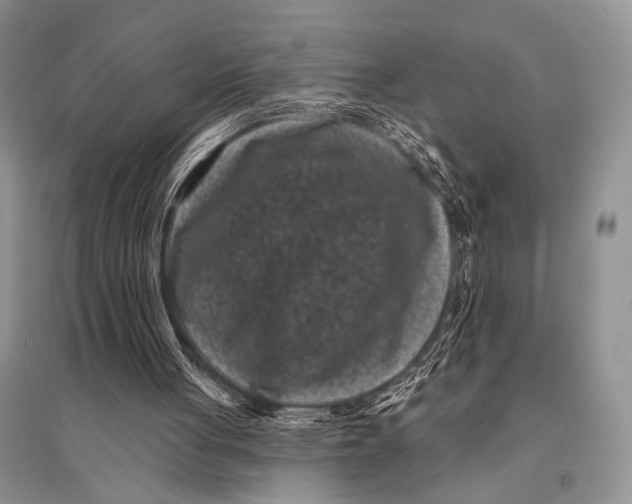 X0000094920051200712201229