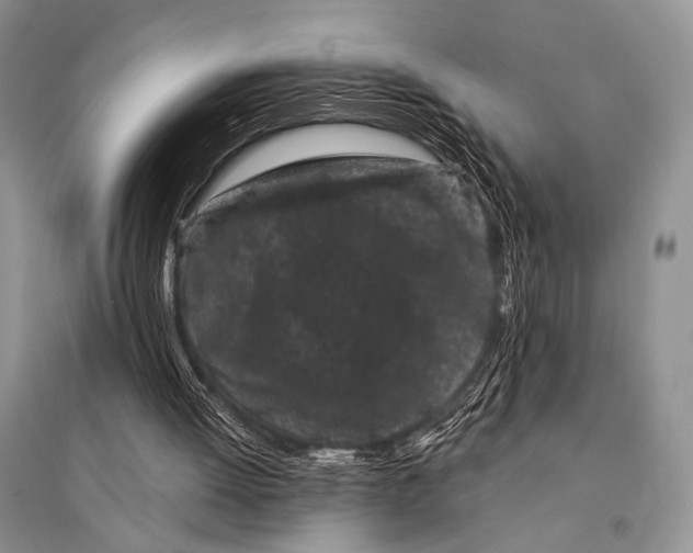 X0000094920052200712201229