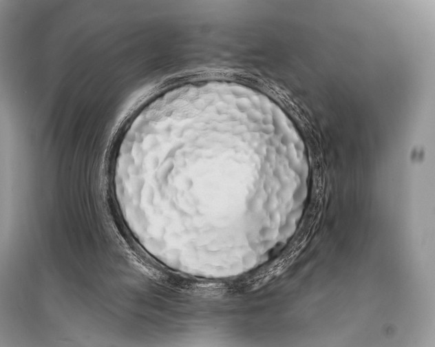X0000094920053200712201229