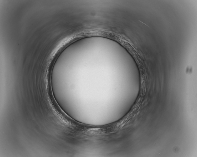X0000094920054200712201229