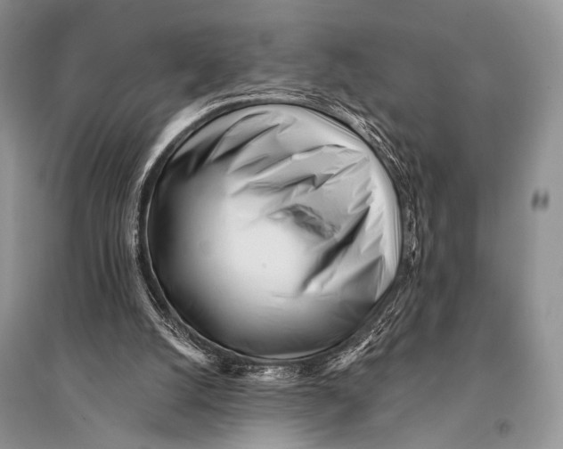 X0000094920056200712201229