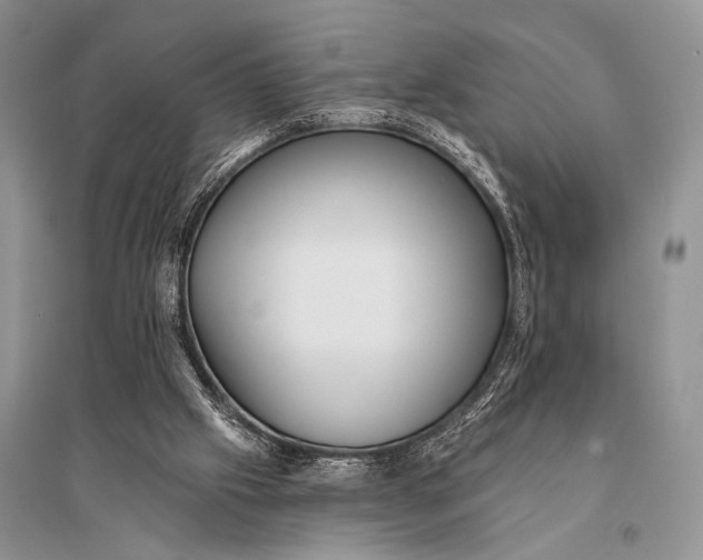 X0000094920057200712201229