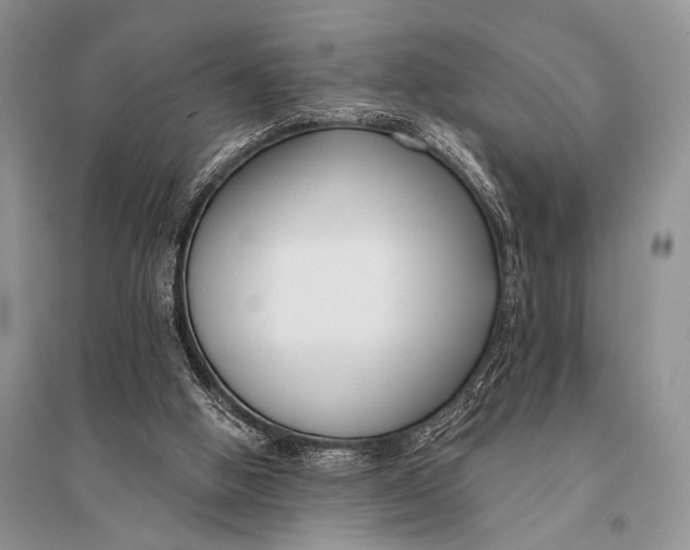 X0000094920058200712201229