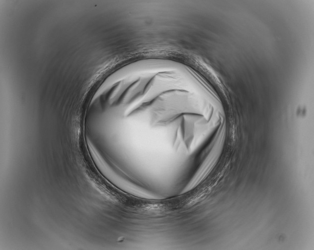 X0000094920059200712201229