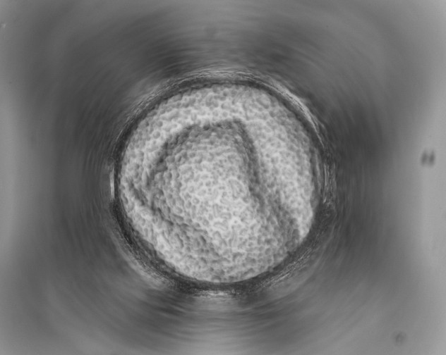 X0000094920061200712201229