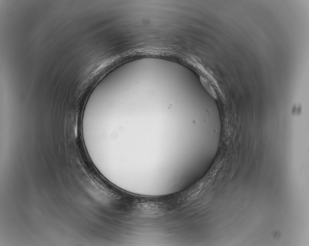 X0000094920062200712201229