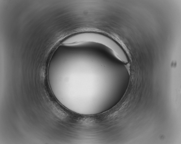 X0000094920063200712201229