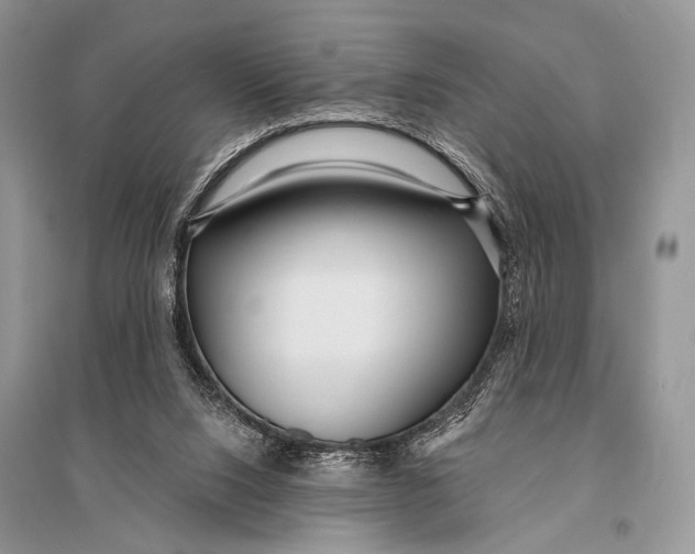 X0000094920064200712201229