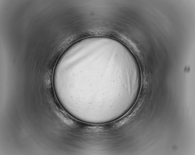 X0000094920065200712201229