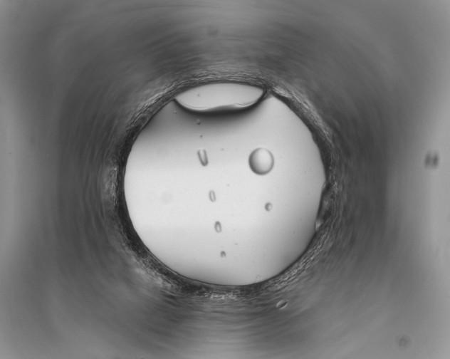 X0000094920066200712201229